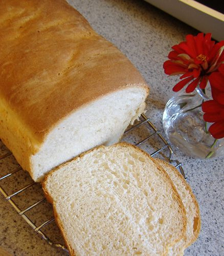No Yeast White Bread
 easy bread recipe no yeast no baking powder