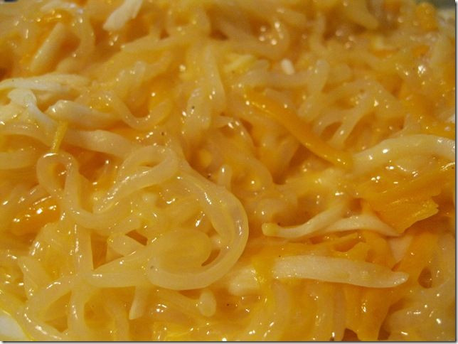 Noodles Mac And Cheese
 20 best images about RECIPE SHIRATAKI NOODLES on