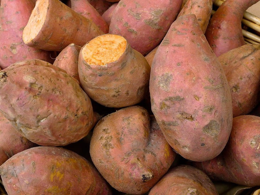 Nutrition Sweet Potato
 Sweet Potato Nutrition Facts and Health Benefits ARIIX