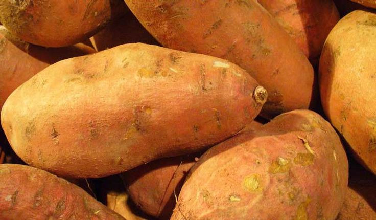 Nutrition Sweet Potato
 Sweet Potatoes Nutrition Facts and Health Benefits