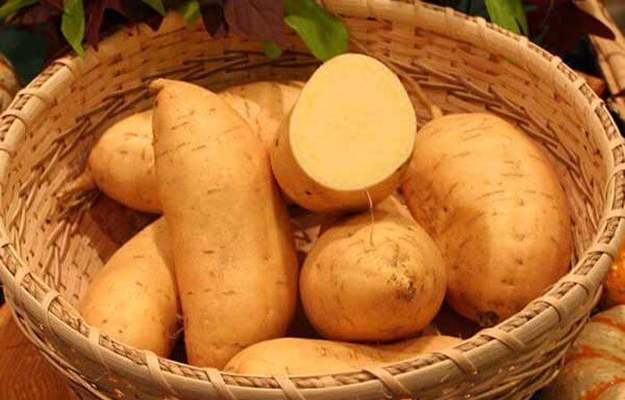 Nutrition Sweet Potato
 Facts About Sweet Potato Nutrition That You All Must Know