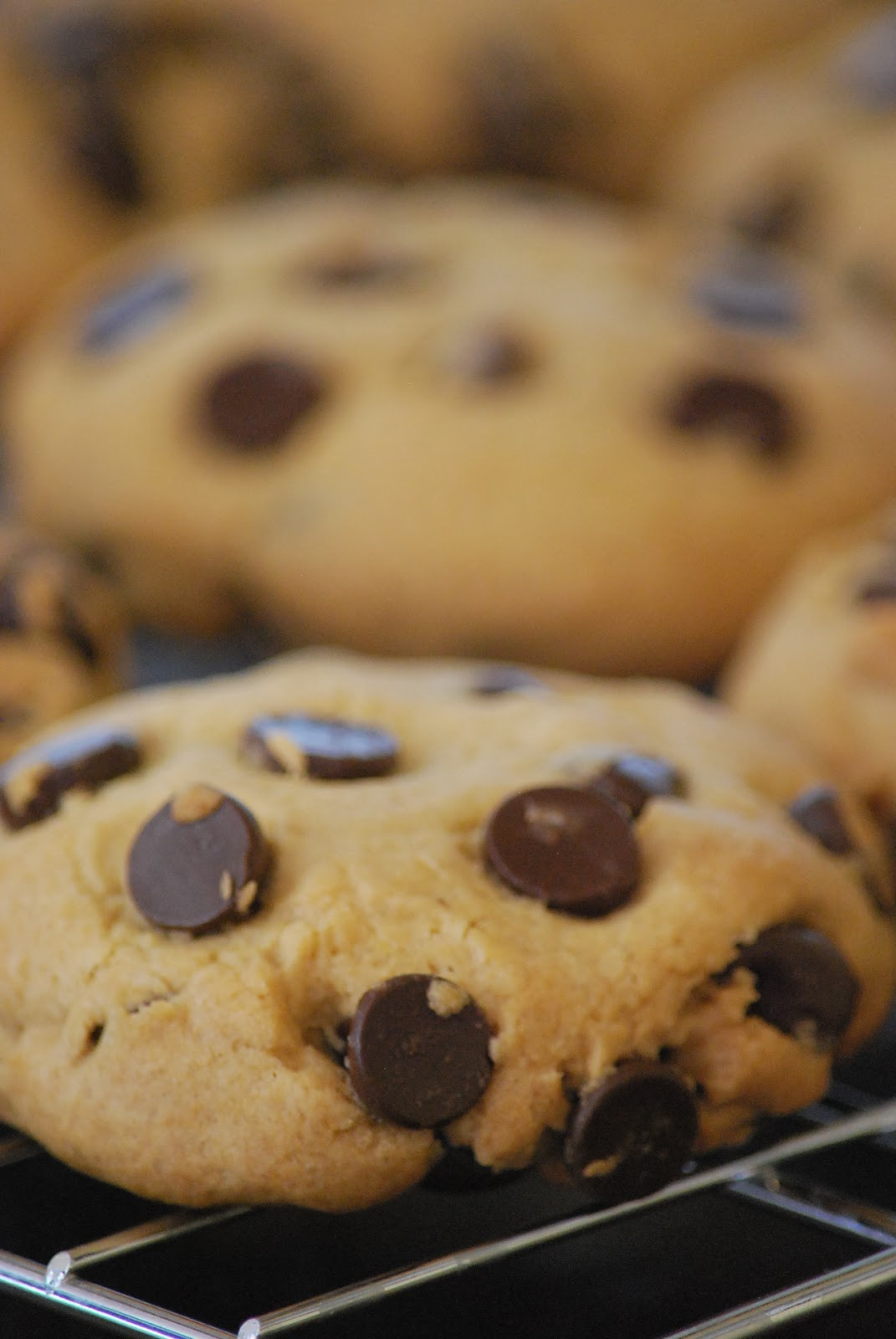 Nyt Chocolate Chip Cookies
 My story in recipes New York Times Chocolate Chip Cookies