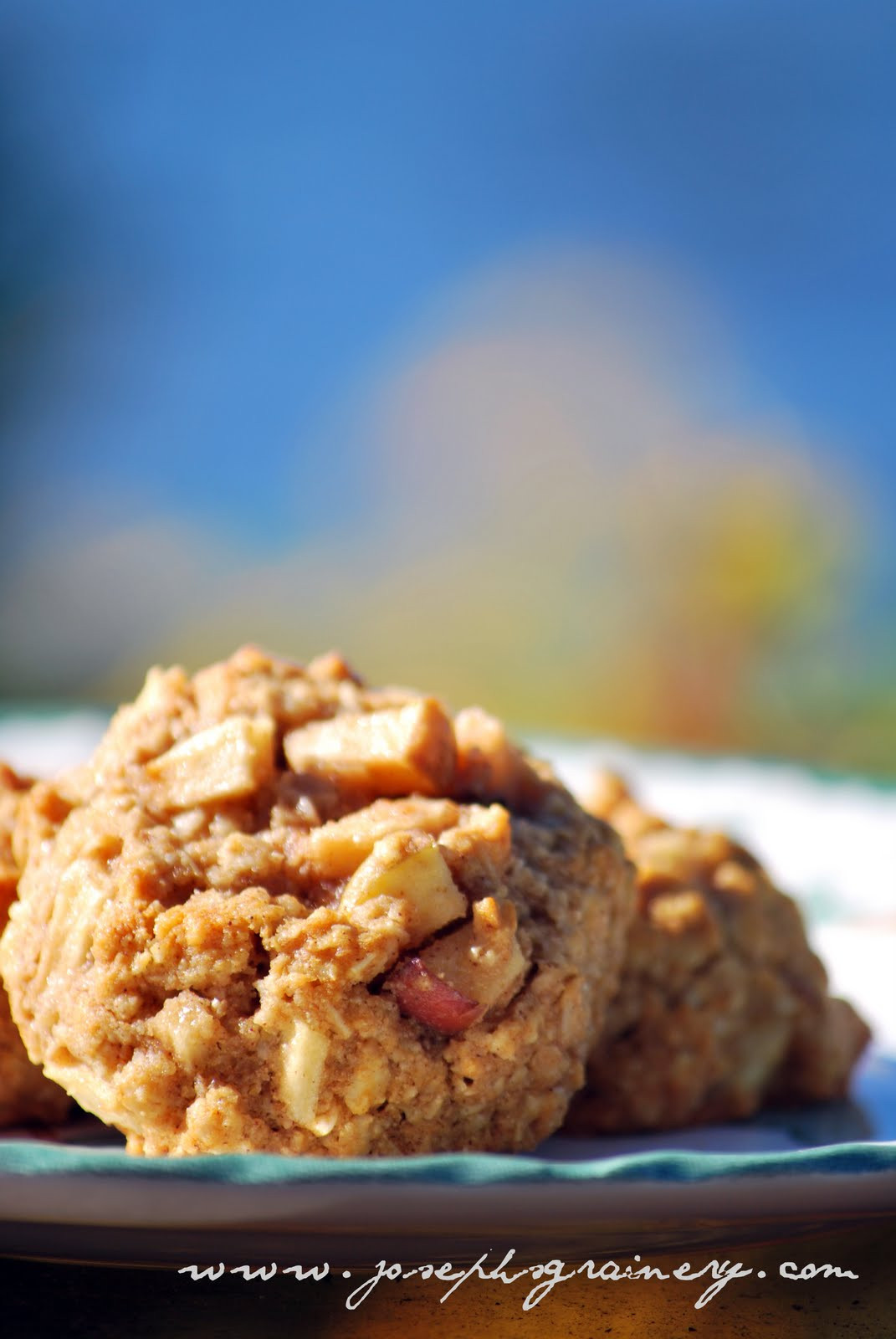 Oatmeal Apple Cookies
 Joseph s Grainery Apple Oatmeal Cookies