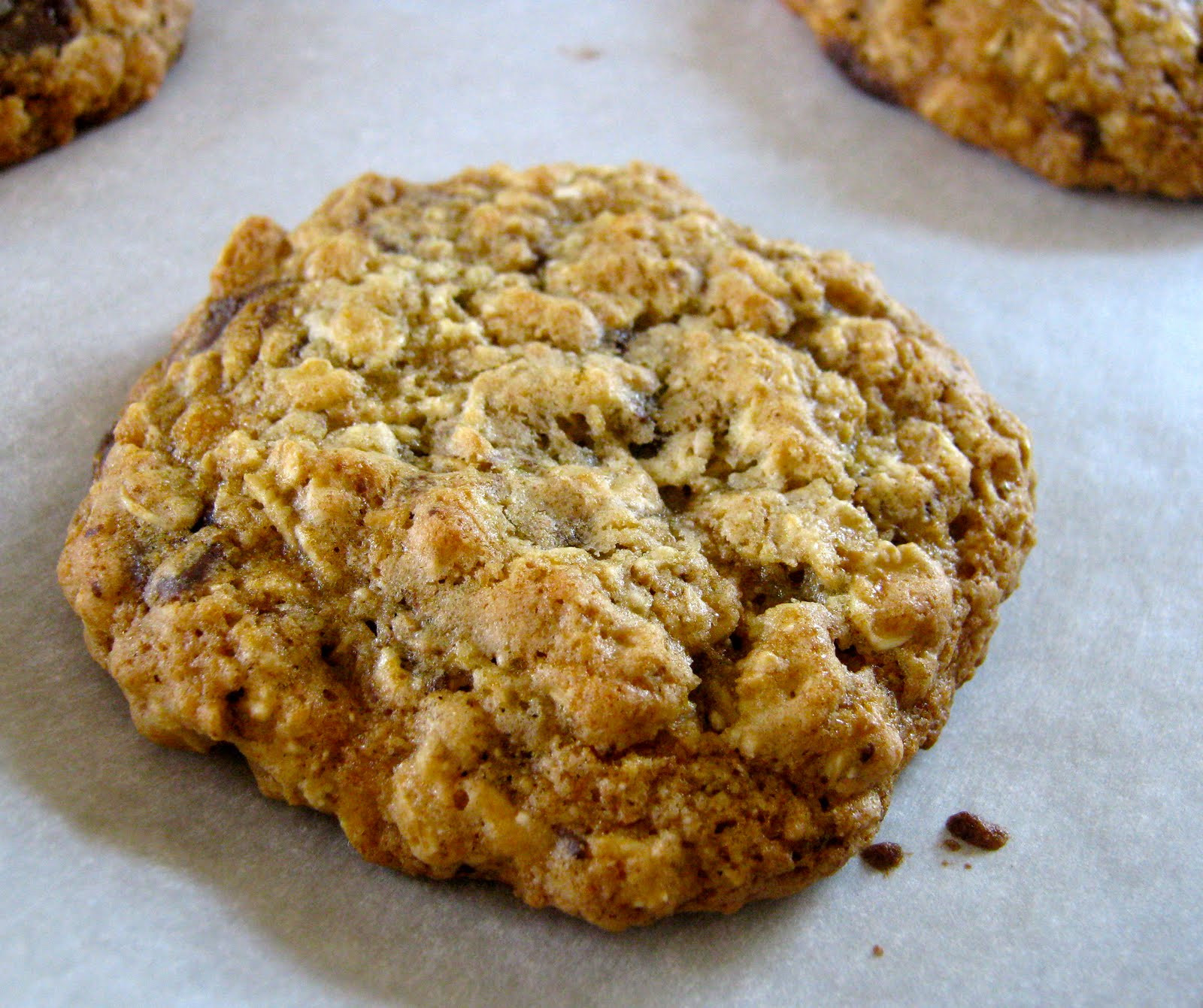 Oatmeal Banana Cookies
 Healthy Low Fat Banana Oatmeal Cookies SixPackSmackdown