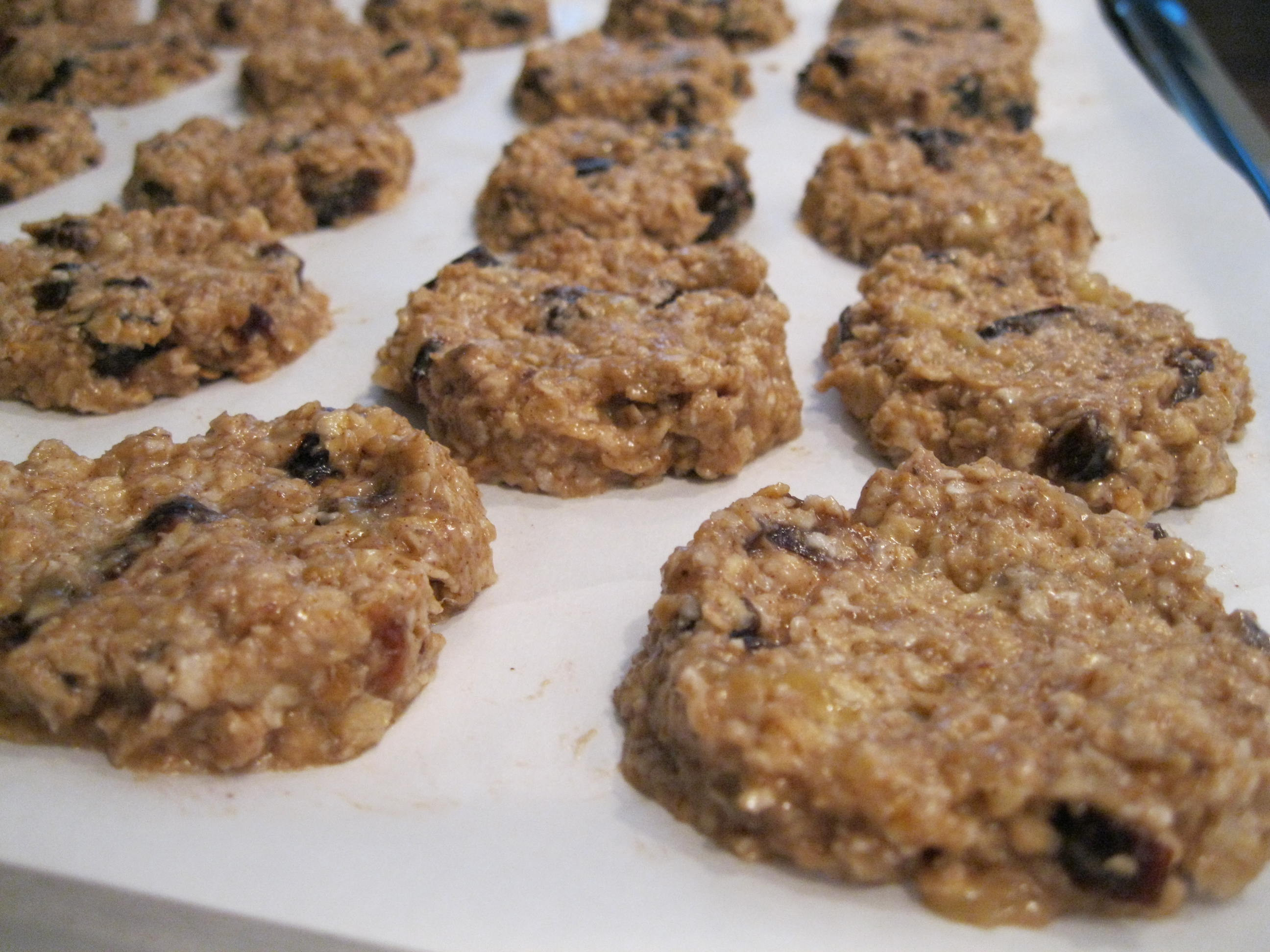 Oatmeal Banana Cookies
 Banana Oatmeal Granola Bar Bite Cookies… Butterless