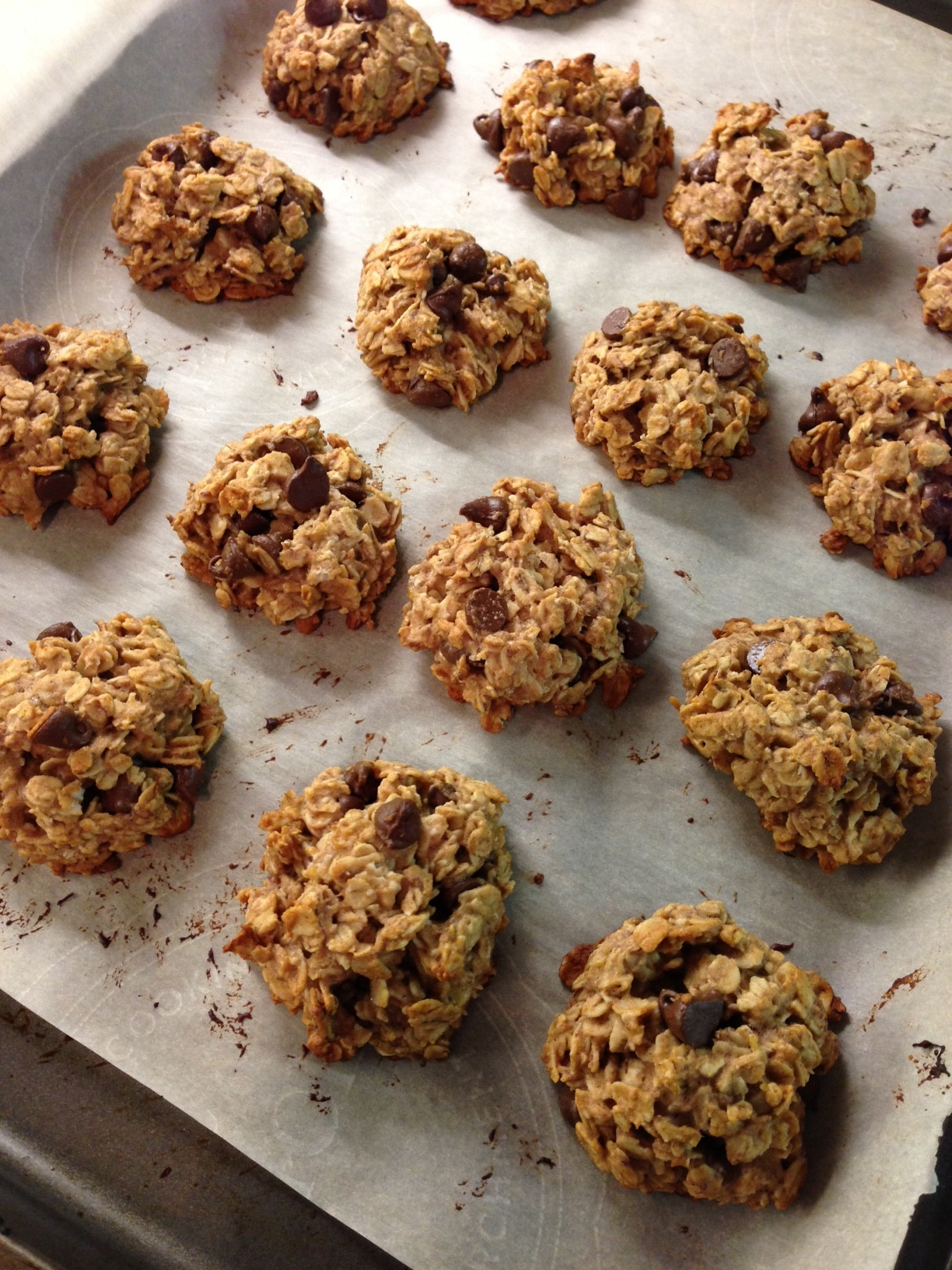 Oatmeal Chocolate Chip Cookies Healthy
 Healthy Oatmeal Chocolate Chip Cookies Lauren Follett