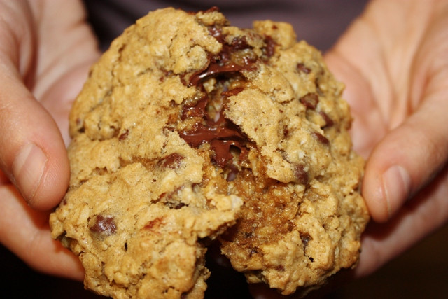 Oatmeal Chocolate Chip Cookies Recipe
 Chewy Chocolate Chip Oatmeal Cookies – CookieRecipes