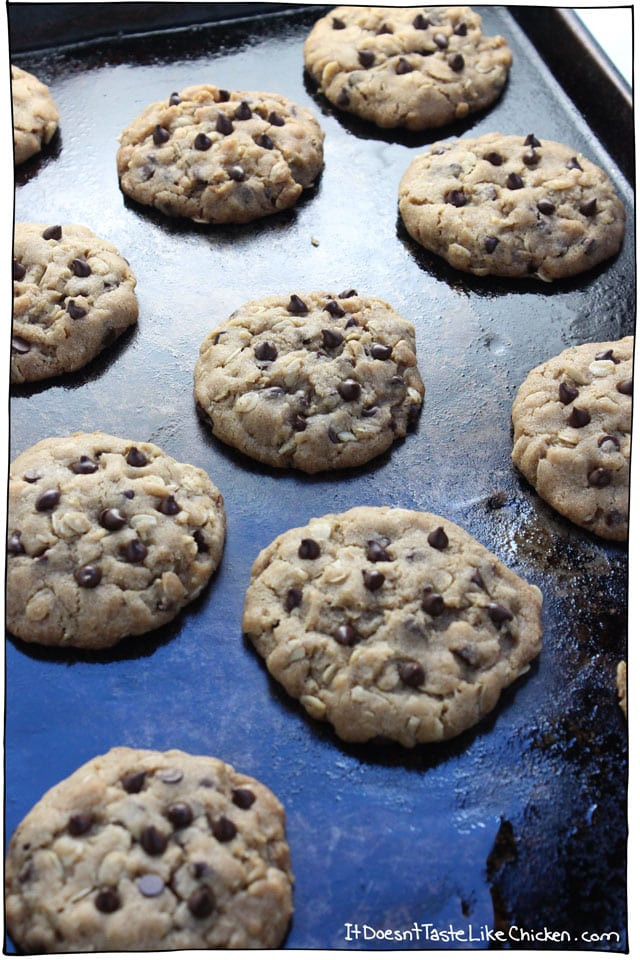 Oatmeal Chocolate Chip Cookies Recipe
 vegan oatmeal chocolate chip cookies recipe
