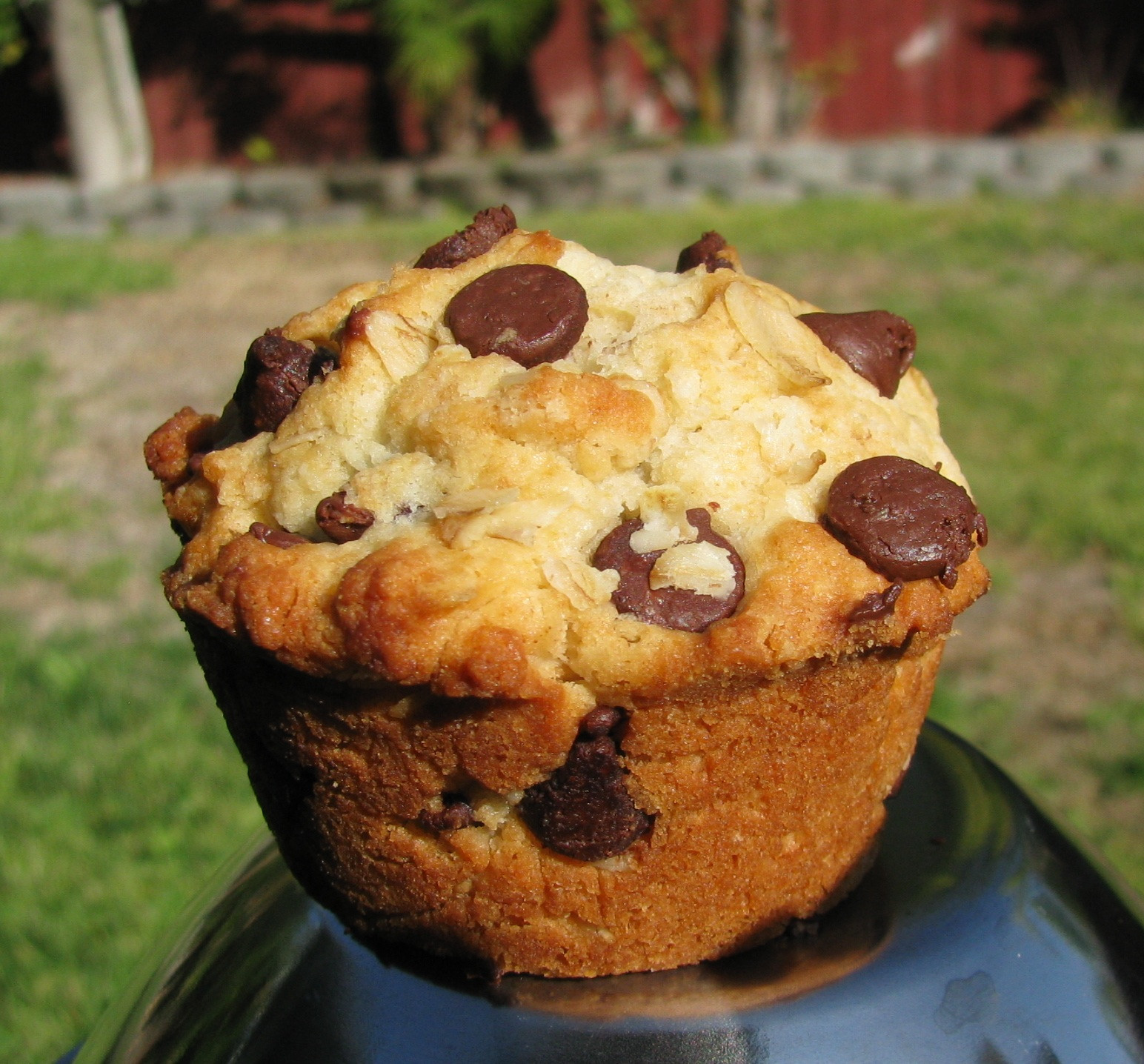 Oatmeal Chocolate Chip Muffins
 Corrie Food Chocolate Chip Oatmeal Muffins