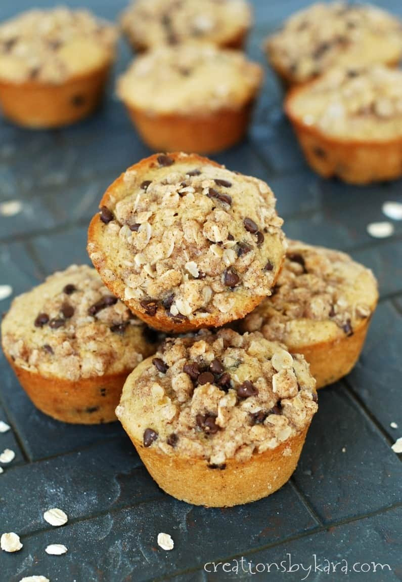 Oatmeal Chocolate Chip Muffins
 Toasted oatmeal chocolate chip muffins