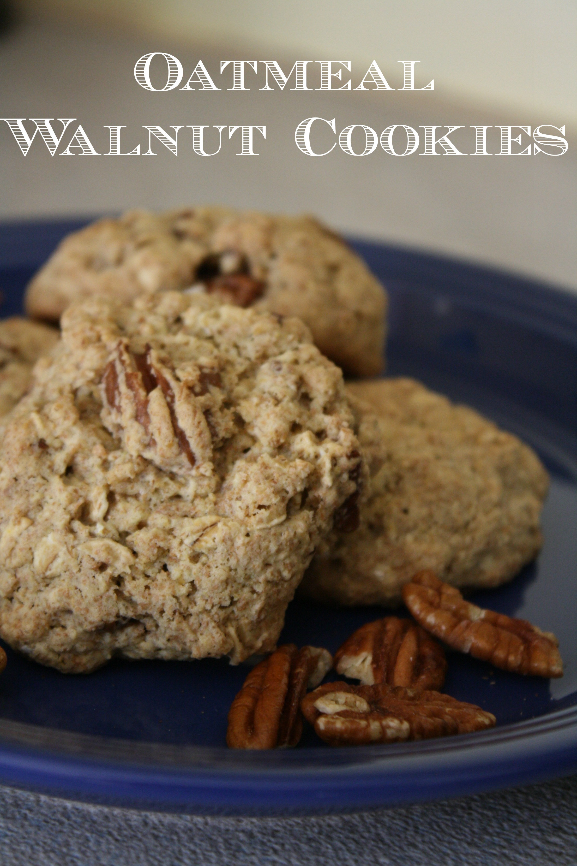 Oatmeal Walnut Cookies
 Oatmeal Walnut Cookies