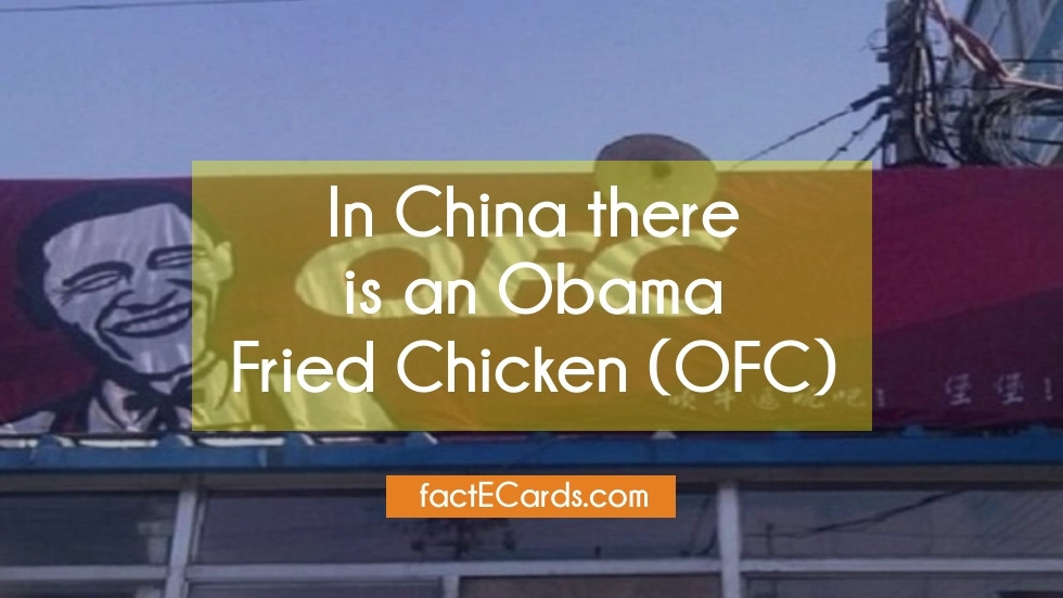 Obama Fried Chicken
 In China there is an Obama Fried Chicken OFC