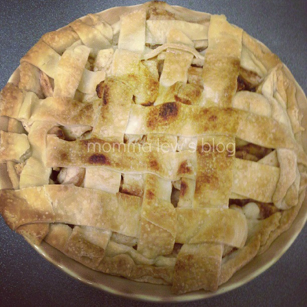 Old Fashioned Apple Pie
 This is an old stand by Betty Crocker recipe that I have