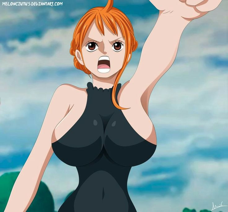One Piece Carrot Hentai
 2628 best e Piece images on Pinterest