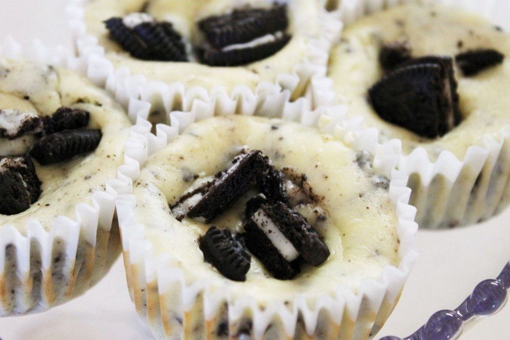 Oreo Cheesecake Cupcakes
 Oreo Cheesecake Cupcakes Splendry