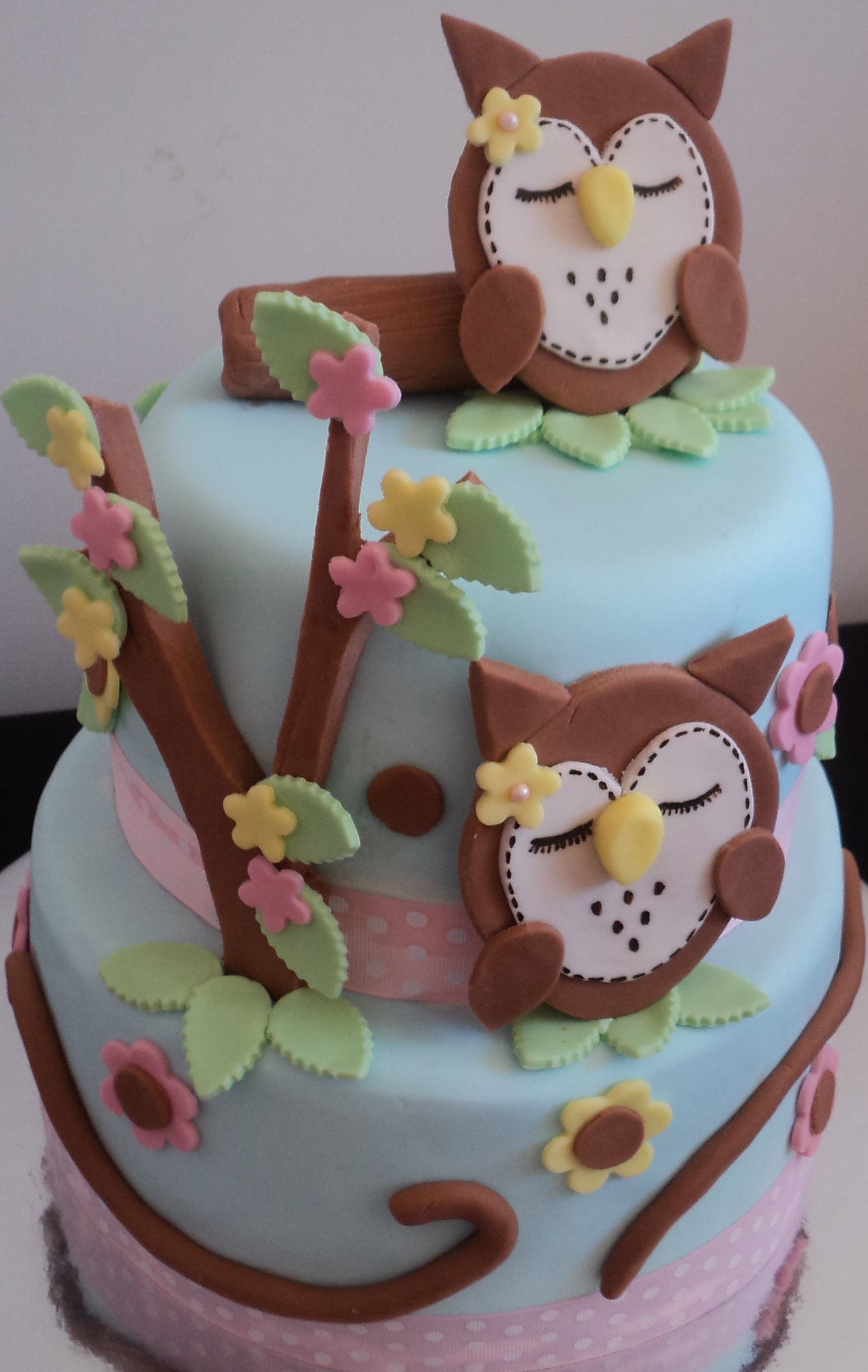 Owl Birthday Cake
 Owl Cakes – Decoration Ideas