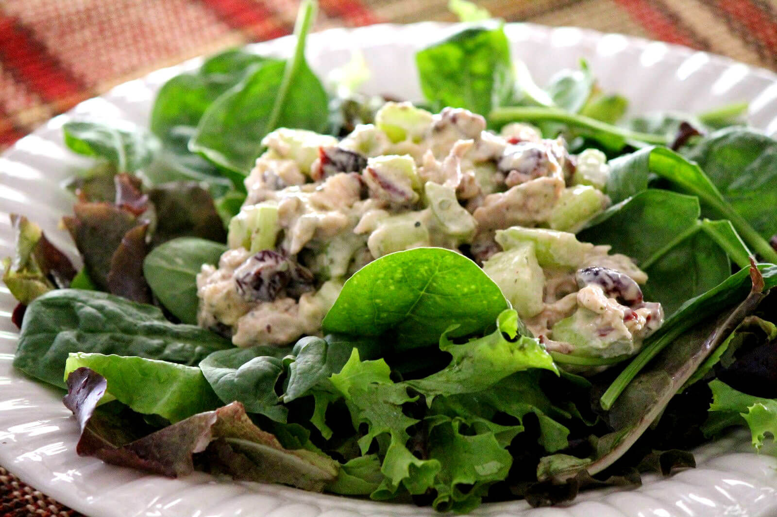 Paleo Chicken Salad
 Paleo Chicken Salad