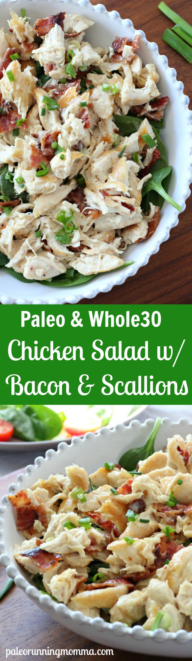 Paleo Chicken Salad
 Paleo Chicken Salad with Bacon & Green ion