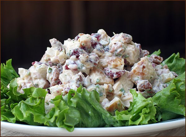 Paleo Chicken Salad
 Paleo Chicken Salad Recipe Primal Primos