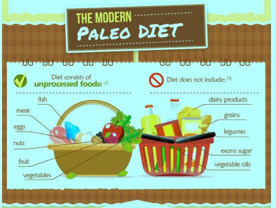 Paleo Diet Basics
 Paleo t basics What is the Paleo Diet The Paleo