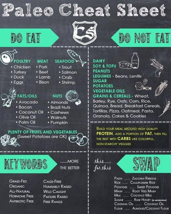 Paleo Diet Basics
 Paleo Diet Basics for Beginners Guide