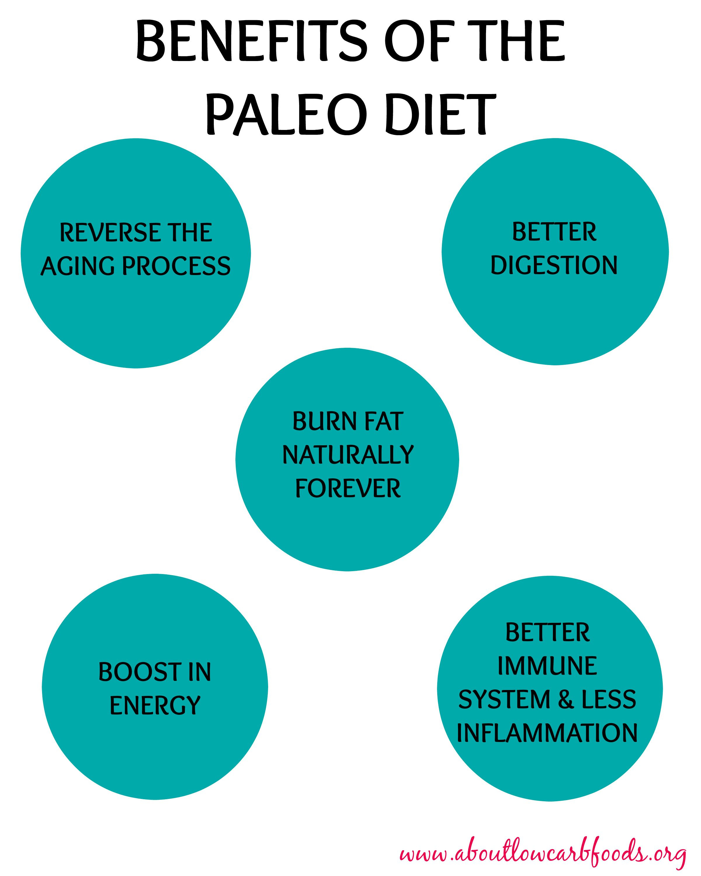 Paleo Diet Benefits
 Paleo Diet Hack Recipes – Great Recipes for Healthy Living