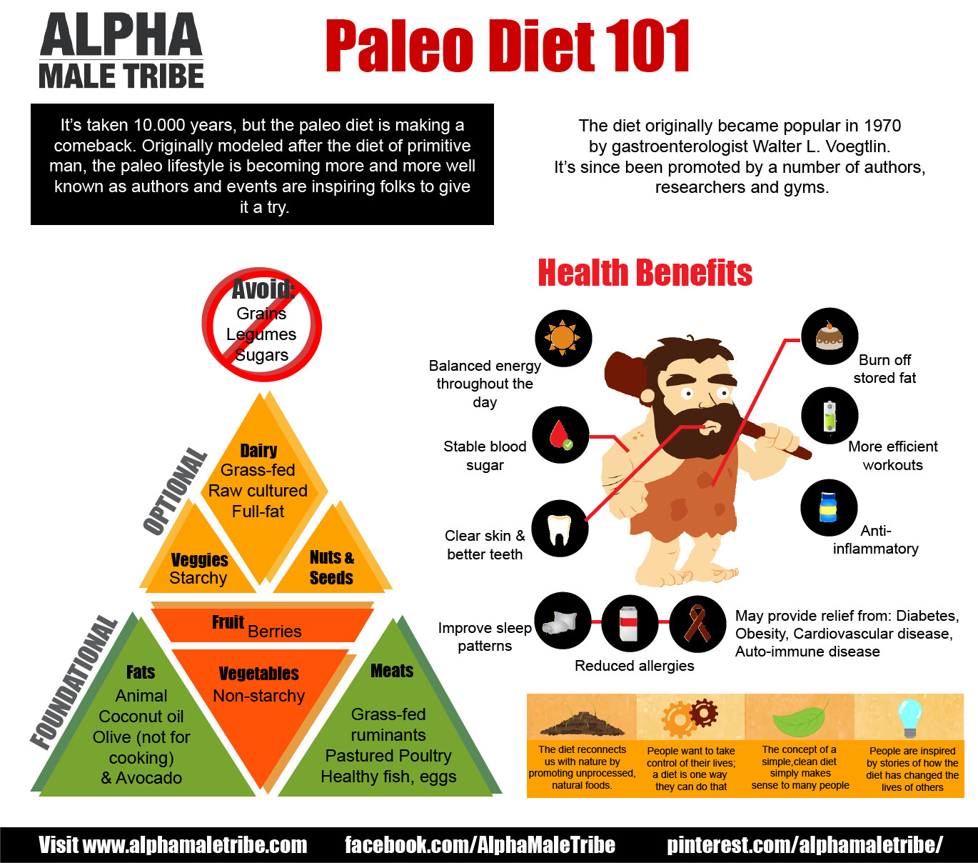 Paleo Diet Benefits
 What is the Paleo Diet Bundilla Clinic