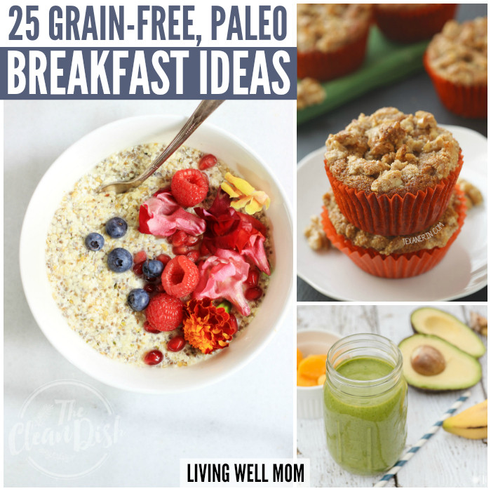 Paleo Diet Breakfast Ideas
 25 Delicious Grain Free Paleo Breakfast Ideas