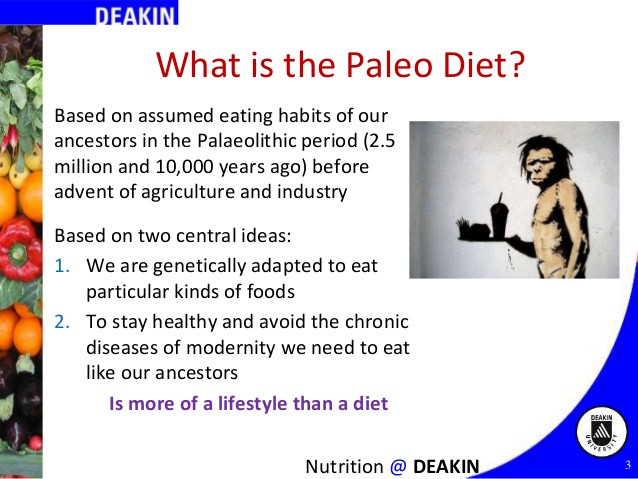 Paleo Diet Definition
 Paleo and Low Carb Diets for Diabetes