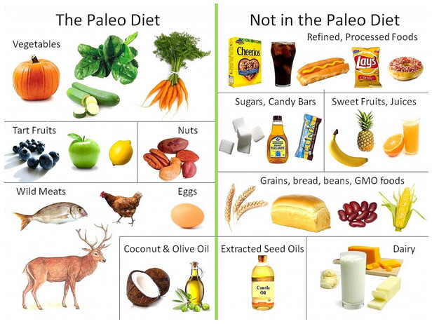 Paleo Diet Definition
 Define Paleo for Celiac Disease