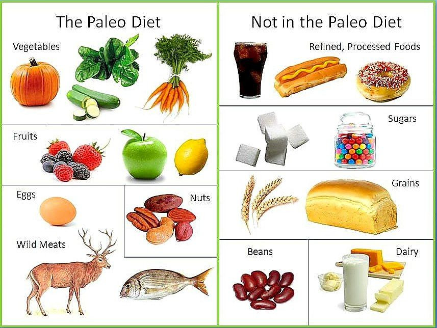 Paleo Diet Definition
 Simple definition of Paleo clean eating