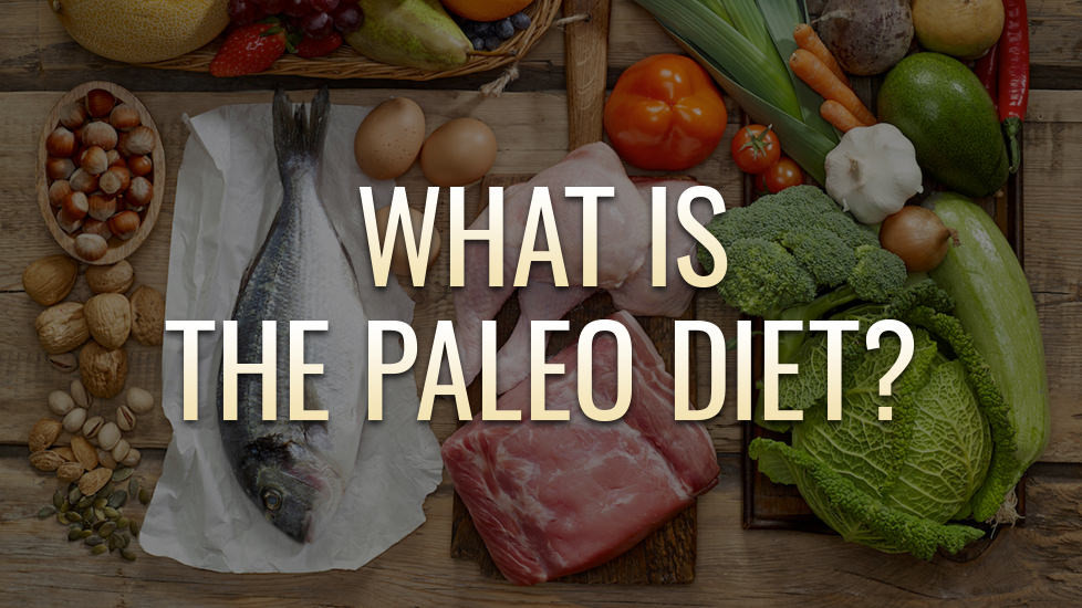 Paleo Diet Definition
 What is the Paleo Diet The Definitive Guide of All You