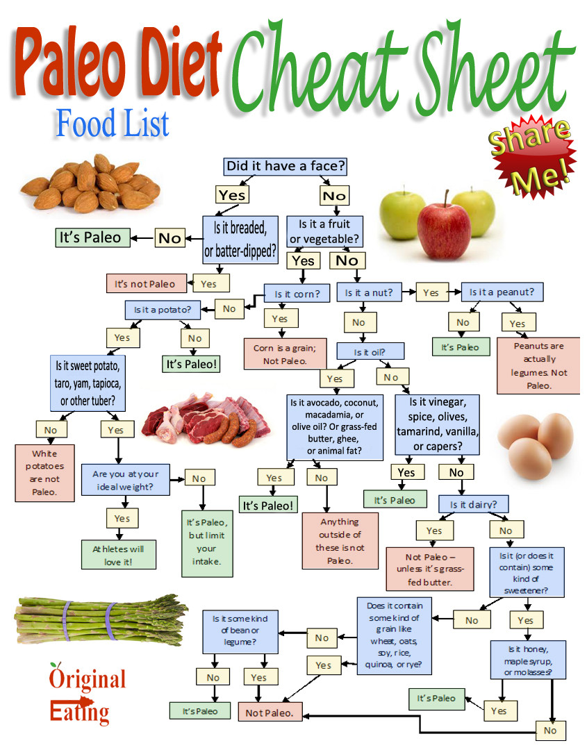 Paleo Diet Food List
 9 Best of Diet Grocery List Printable Paleo Diet