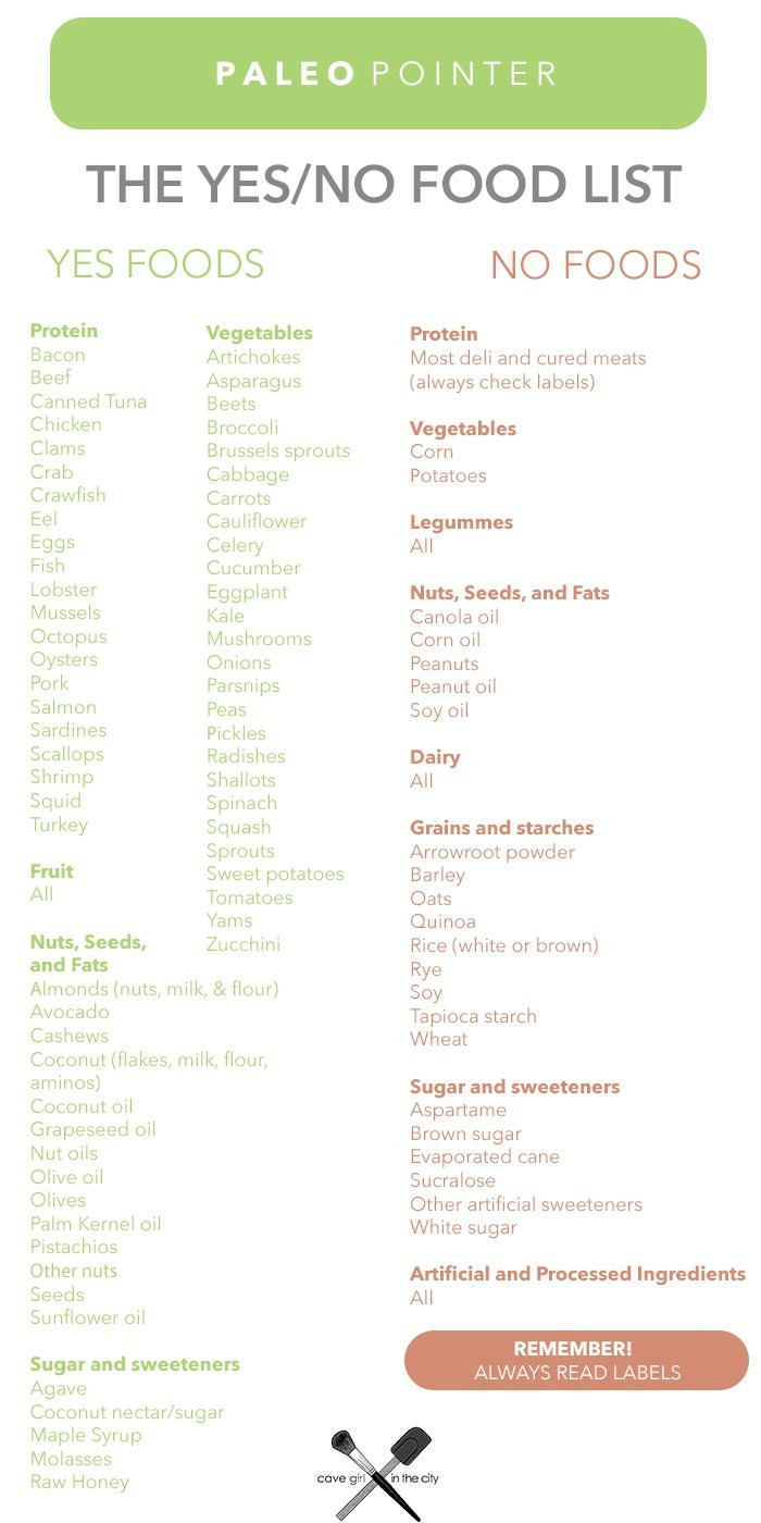 Paleo Diet Food List
 Paleo Pointer The Yes No List