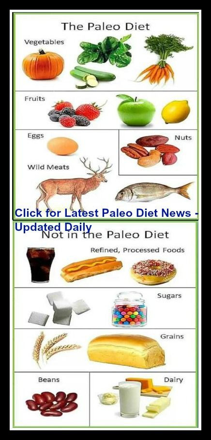 Paleo Diet For Beginners
 Paleo Recipes Paleo Diet Paleo for Beginners Paleo