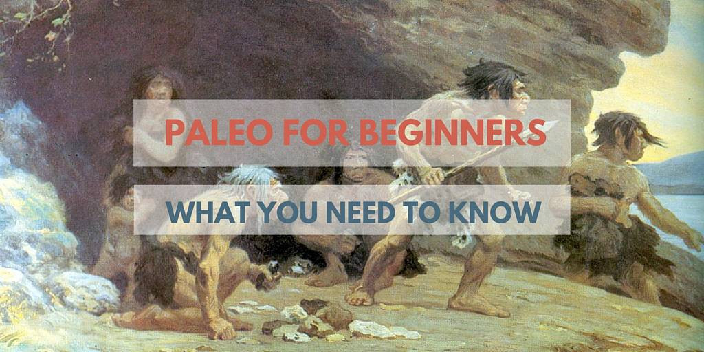 Paleo Diet Reddit
 What is the Paleo Diet Everything You Need to Know