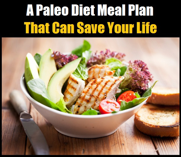 Paleo Diet Reviews
 Paleo Diet Book Review duckgala