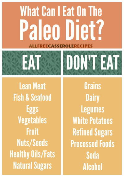 Paleo Diet Rules
 14 Easy Paleo Recipes The Best Paleo Casseroles