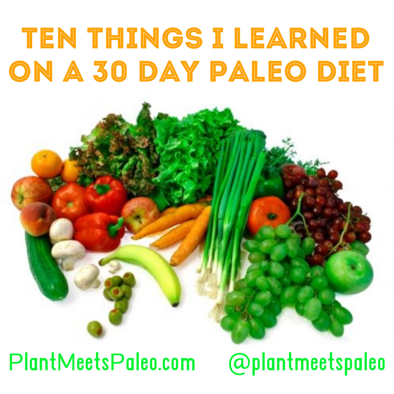 Paleo Diet Wiki
 Plant Meets Paleo Ten Things I Learned A 30 Day Paleo Diet