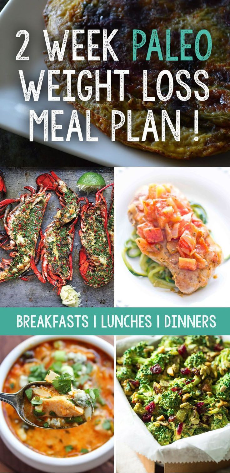 Paleo Diet Wiki
 25 best ideas about Weight Loss Plans on Pinterest