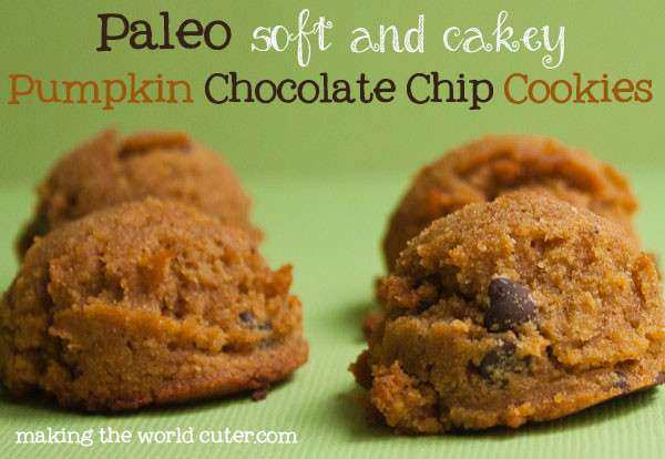 Paleo Pumpkin Cookies
 Paleo Pumpkin Chocolate Chip Cookies