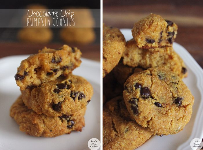 Paleo Pumpkin Cookies
 Paleo Pumpkin Cookies Recipe