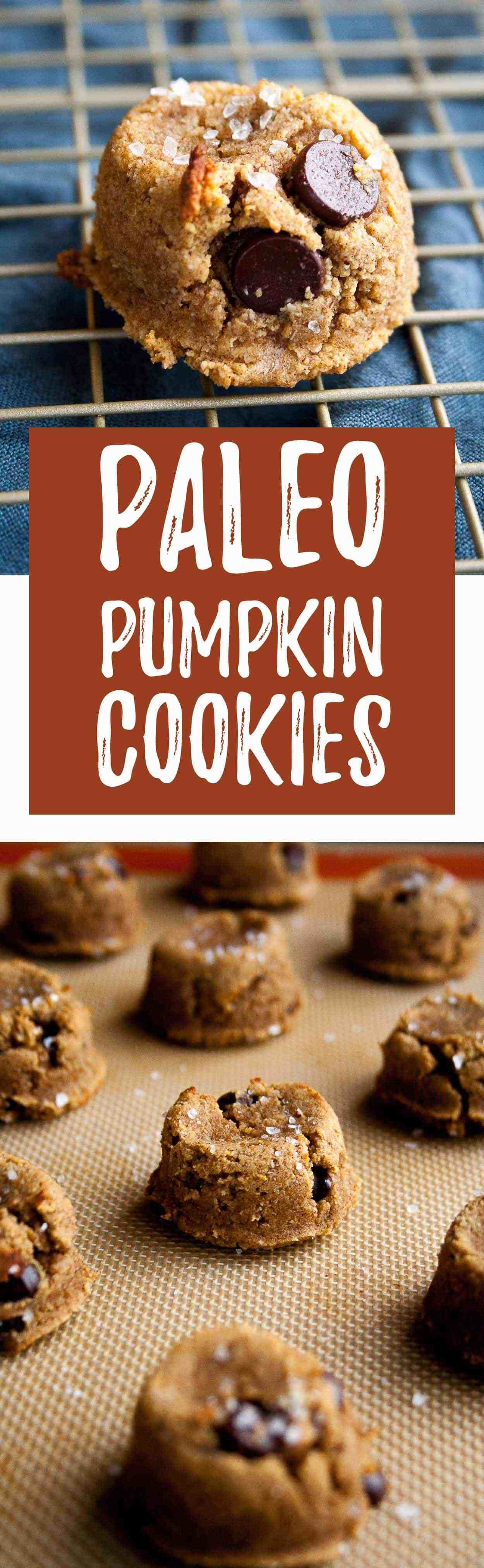 Paleo Pumpkin Cookies
 Paleo Pumpkin Cookies with Dark Chocolate Chips Hungry