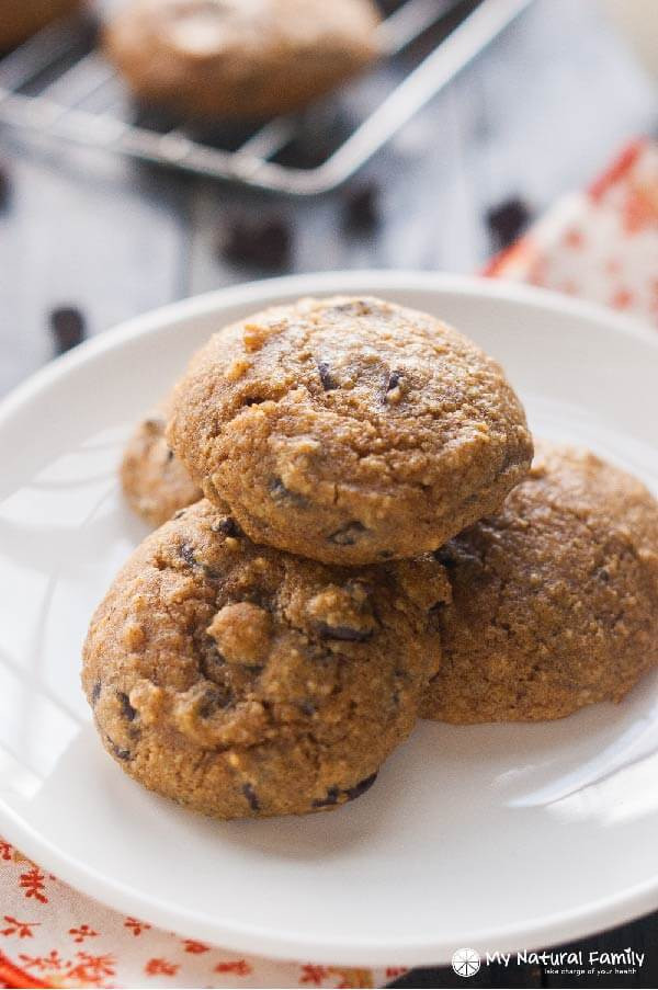 Paleo Pumpkin Cookies
 Paleo Pumpkin Chocolate Chip Cookies Recipe Gluten Free