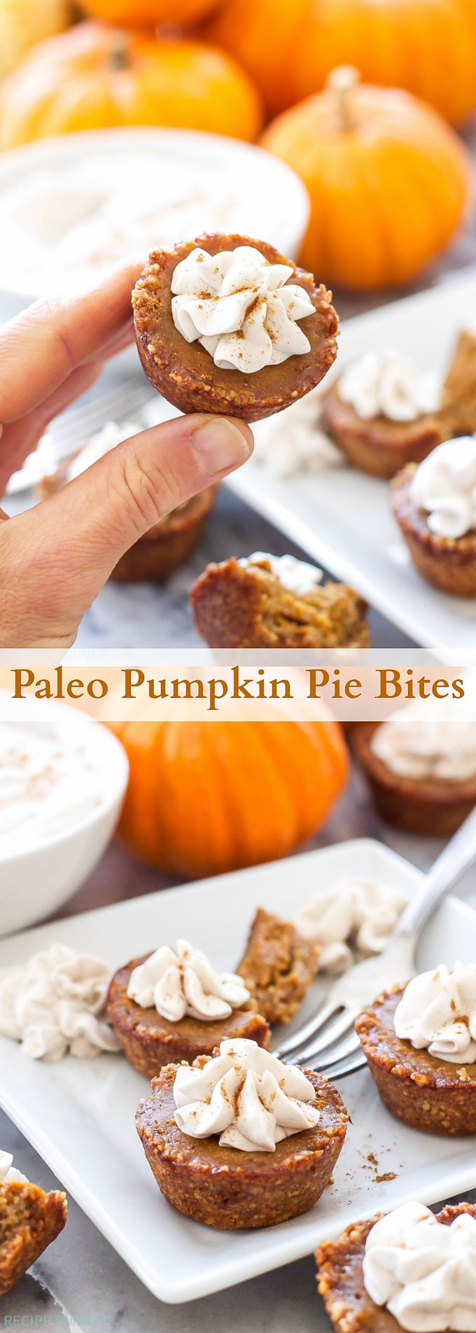 Paleo Pumpkin Pie
 Paleo Pumpkin Pie Bites Recipe Runner