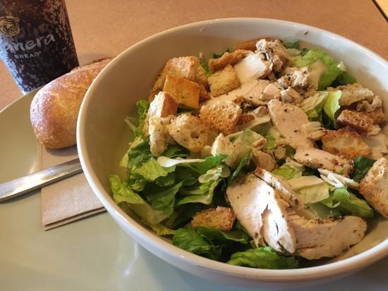 Panera Chicken Salad
 Chicken Caesar Salad Picture of Panera Bread Sarasota