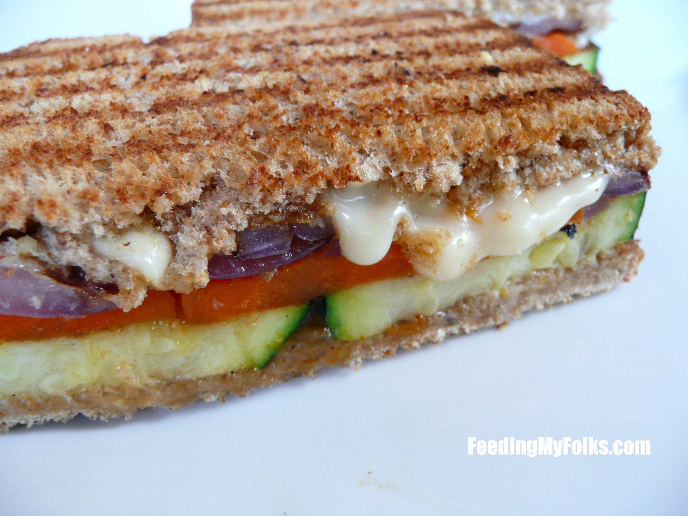 Panini Sandwich Recipes
 Best Grilled Veggie Panini