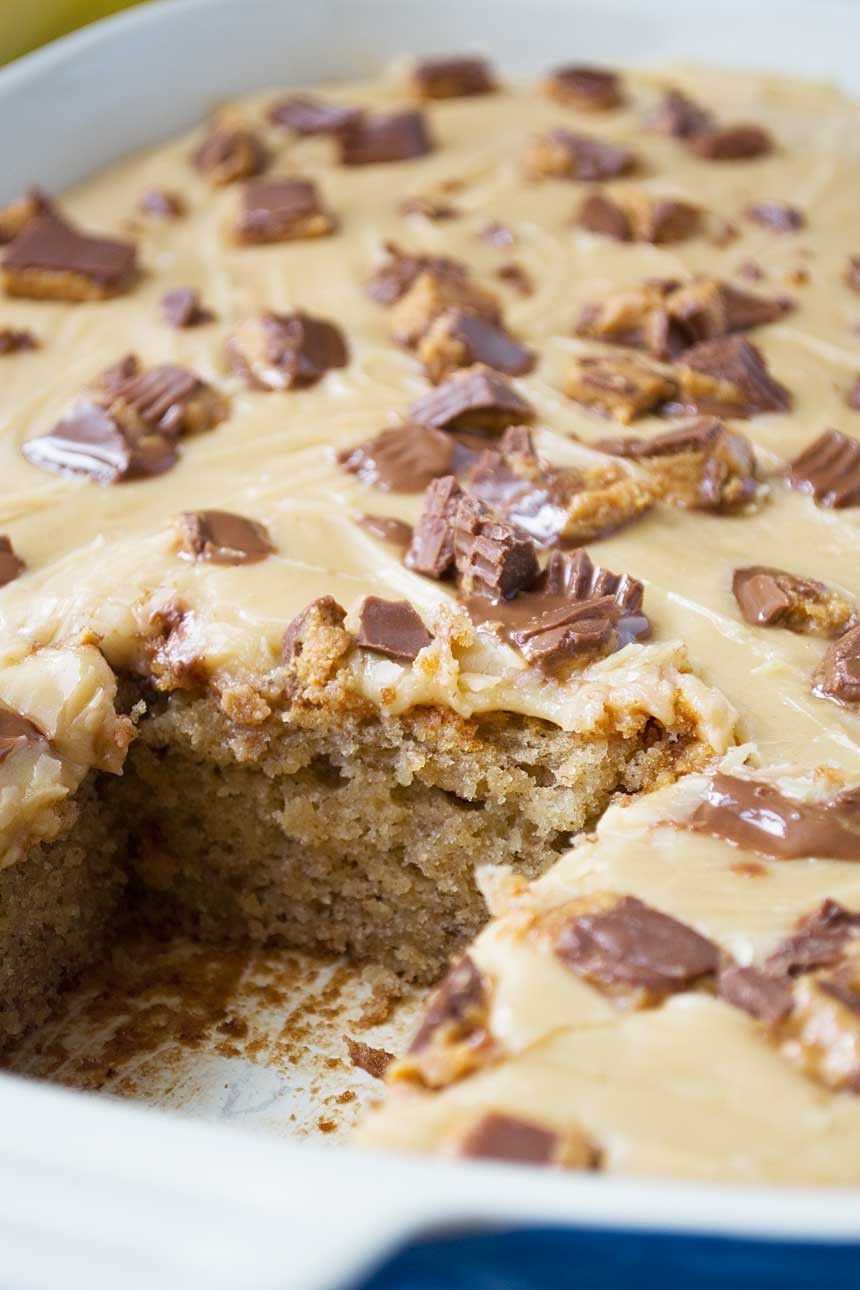 Peanut Butter Cake Recipe
 moist peanut butter sheet cake
