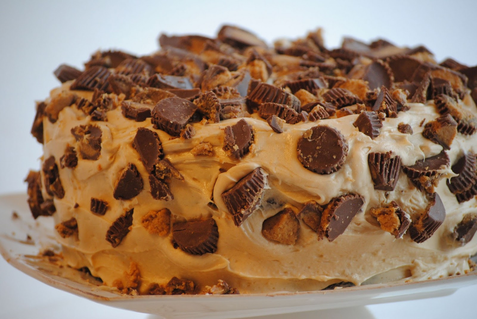 Peanut Butter Cake Recipe
 The Farm Girl Recipes Chocolate Peanut Butter Cup Cake