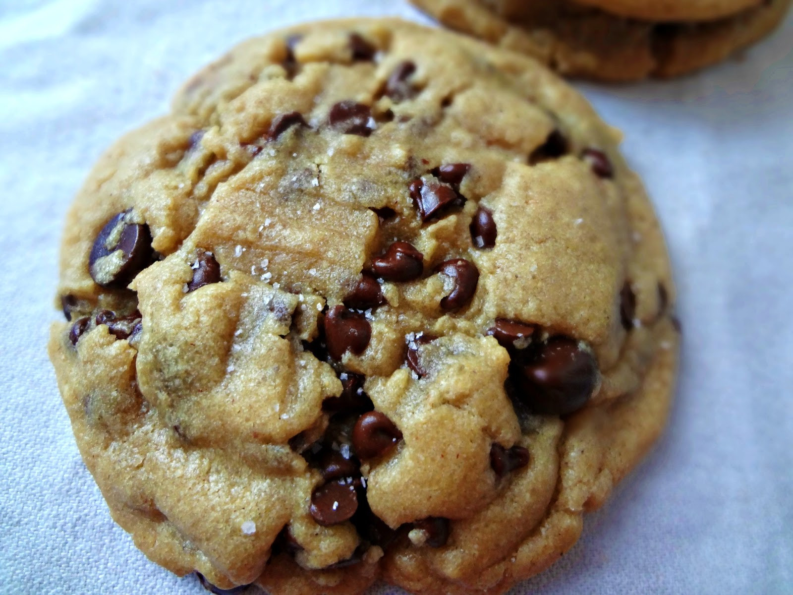Peanut Butter Chocolate Chip Cookies
 The Cooking Actress Browned Butter Salted Peanut Butter